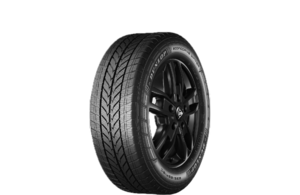 Dunlop Econodrive Winter