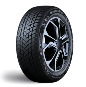 GT Radial Winterpro 2 EVO
