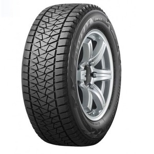 Bridgestone Blizzak DM-V2