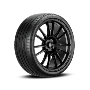 Pirelli P Zero MS