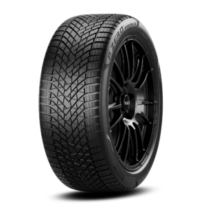 Pirelli P Zero Winter D
