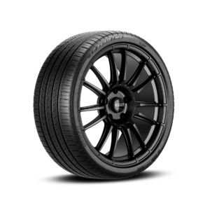 Pirelli P Zero MS